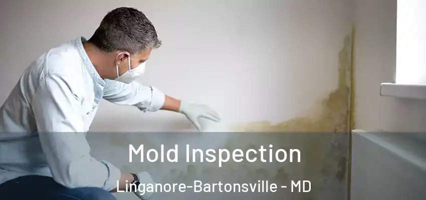  Mold Inspection Linganore-Bartonsville - MD
