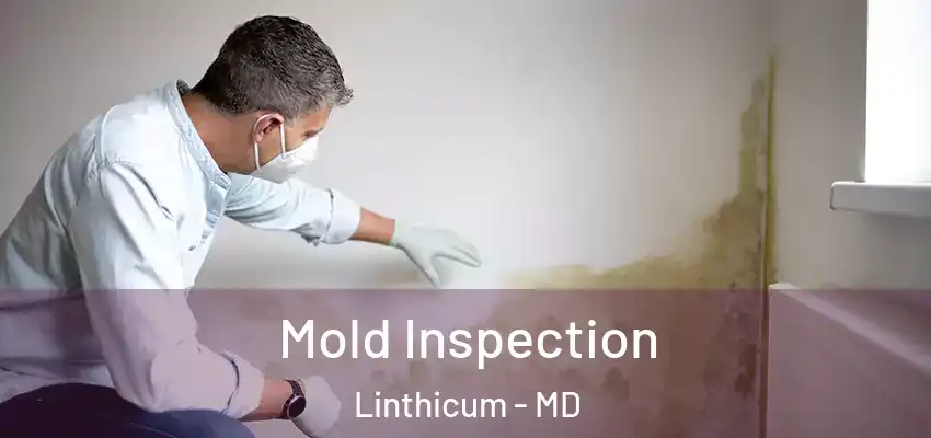Mold Inspection Linthicum - MD