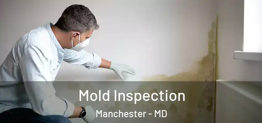  Mold Inspection Manchester - MD