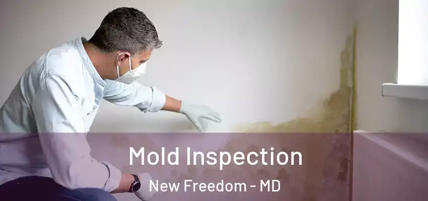 Mold Inspection New Freedom - MD