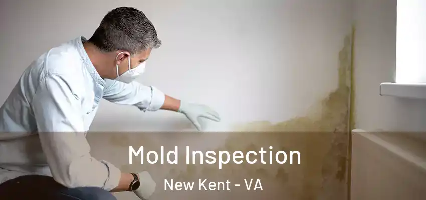 Mold Inspection New Kent - VA