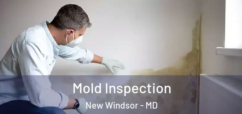  Mold Inspection New Windsor - MD