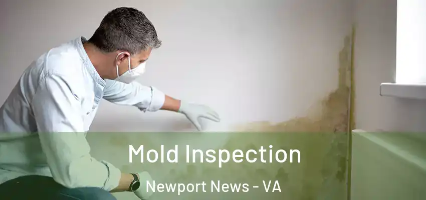 Mold Inspection Newport News - VA