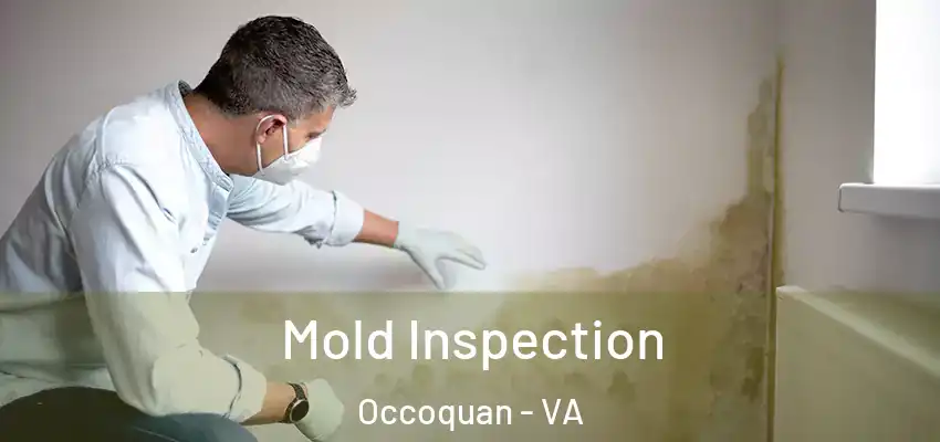  Mold Inspection Occoquan - VA