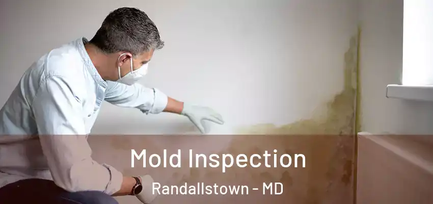 Mold Inspection Randallstown - MD