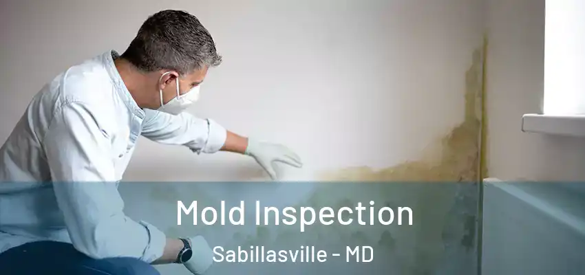  Mold Inspection Sabillasville - MD