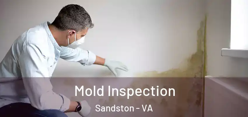 Mold Inspection Sandston - VA