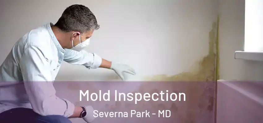  Mold Inspection Severna Park - MD