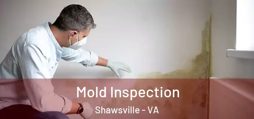  Mold Inspection Shawsville - VA