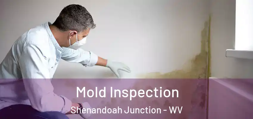 Mold Inspection Shenandoah Junction - WV