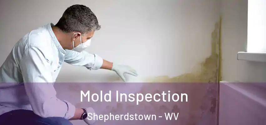 Mold Inspection Shepherdstown - WV