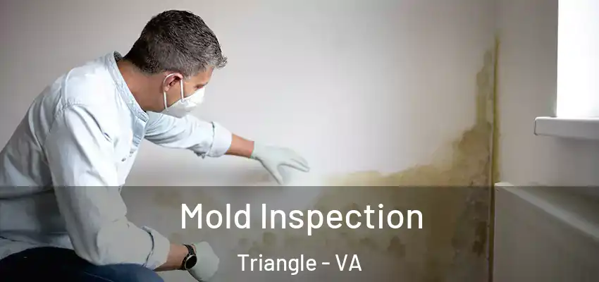 Mold Inspection Triangle - VA