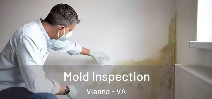 Mold Inspection Vienna - VA