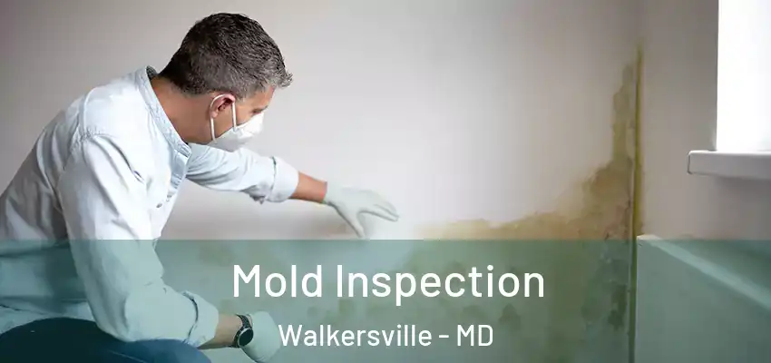 Mold Inspection Walkersville - MD