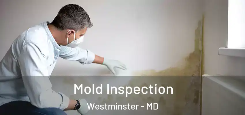 Mold Inspection Westminster - MD