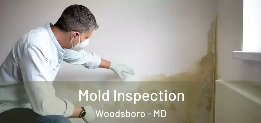 Mold Inspection Woodsboro - MD