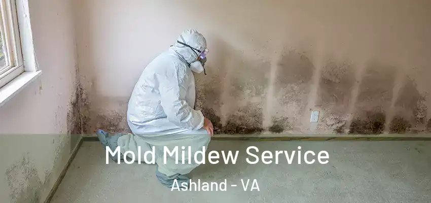 Mold Mildew Service Ashland - VA