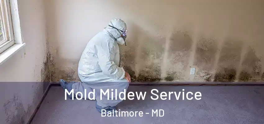  Mold Mildew Service Baltimore - MD