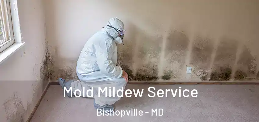 Mold Mildew Service Bishopville - MD