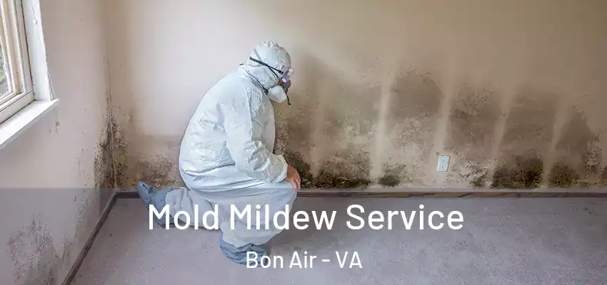Mold Mildew Service Bon Air - VA