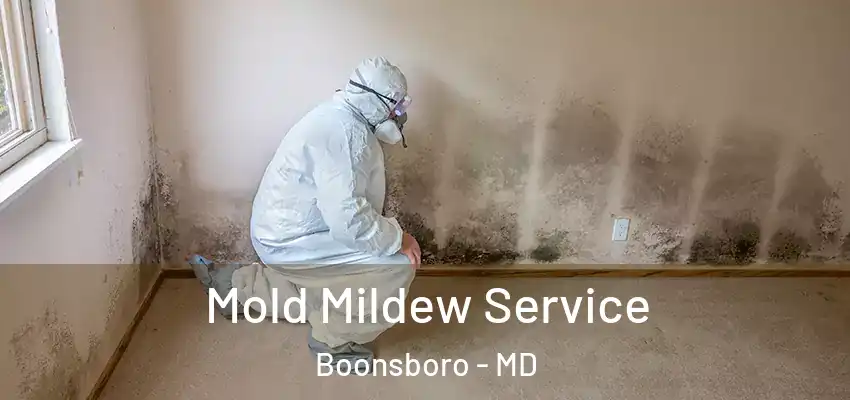 Mold Mildew Service Boonsboro - MD