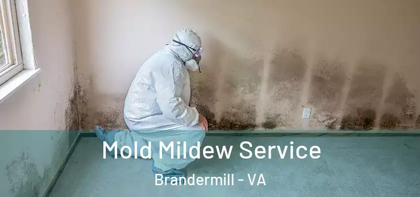  Mold Mildew Service Brandermill - VA