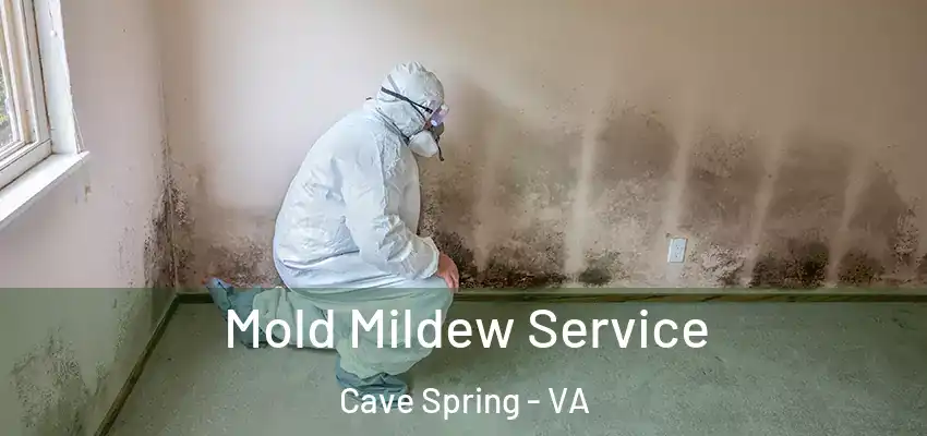  Mold Mildew Service Cave Spring - VA