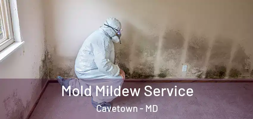  Mold Mildew Service Cavetown - MD