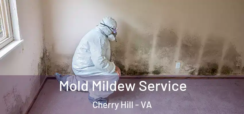  Mold Mildew Service Cherry Hill - VA