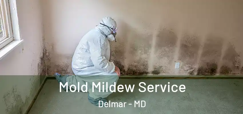  Mold Mildew Service Delmar - MD