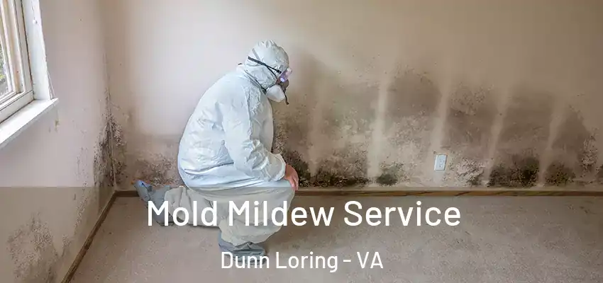 Mold Mildew Service Dunn Loring - VA