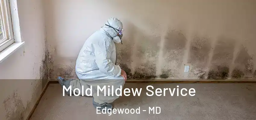  Mold Mildew Service Edgewood - MD