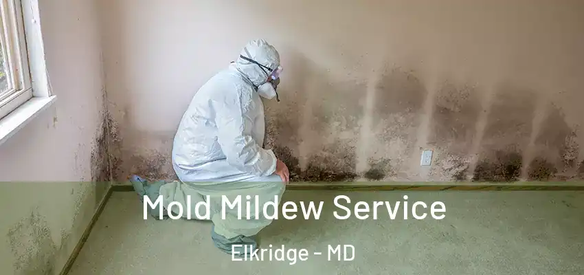  Mold Mildew Service Elkridge - MD