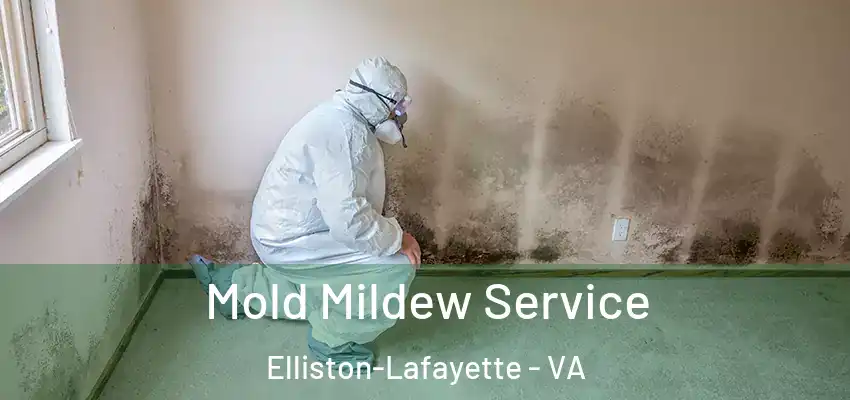 Mold Mildew Service Elliston-Lafayette - VA