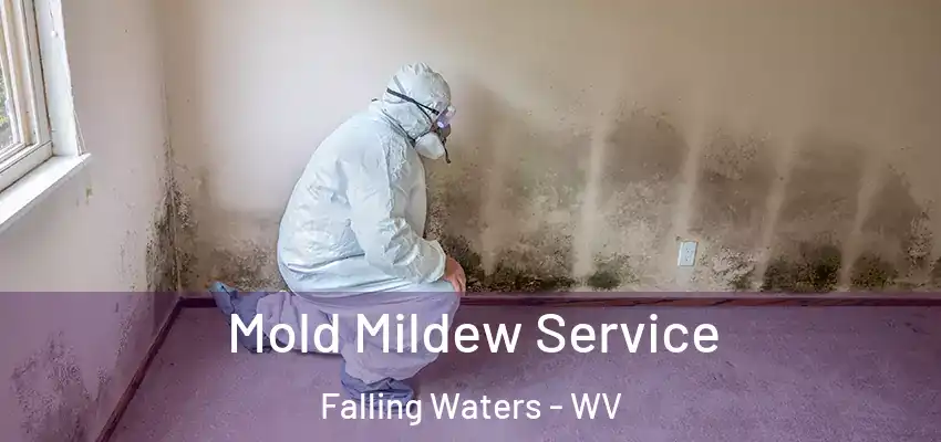 Mold Mildew Service Falling Waters - WV