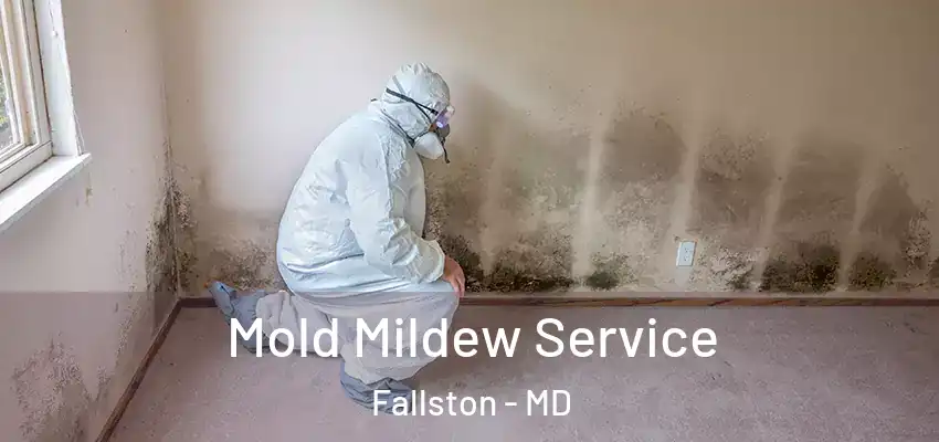 Mold Mildew Service Fallston - MD
