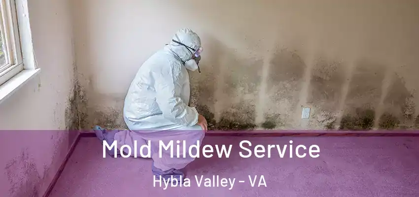 Mold Mildew Service Hybla Valley - VA