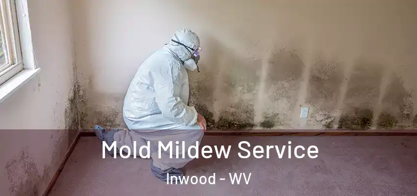 Mold Mildew Service Inwood - WV