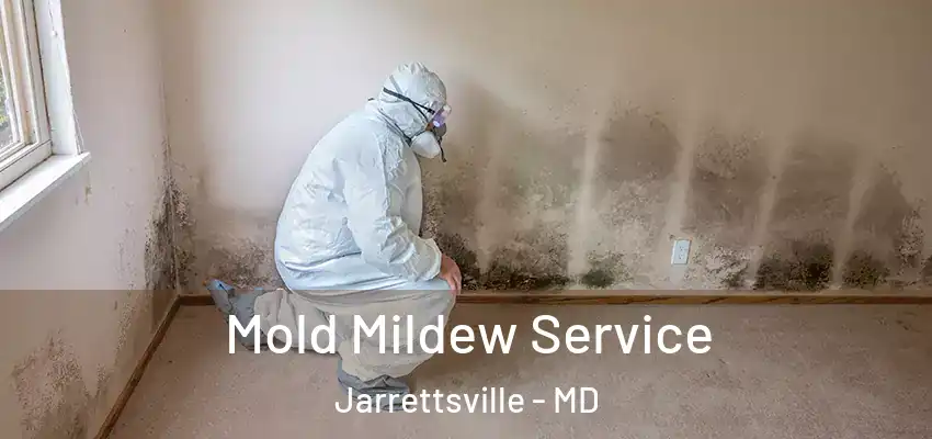  Mold Mildew Service Jarrettsville - MD