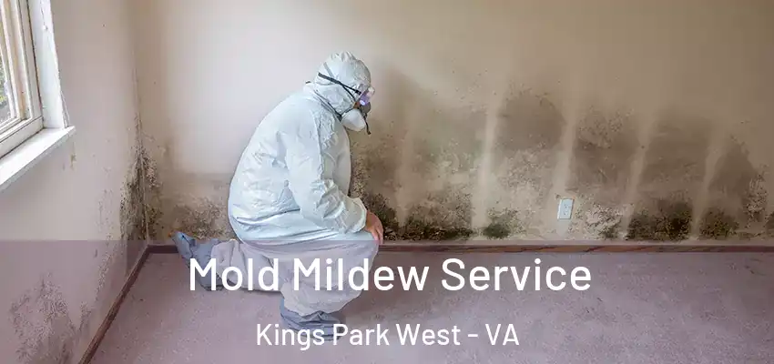  Mold Mildew Service Kings Park West - VA