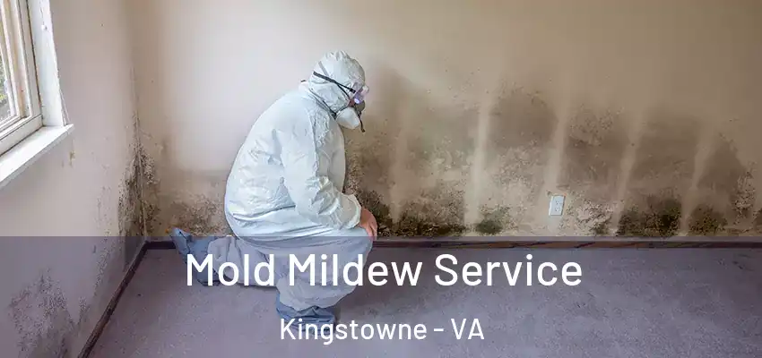 Mold Mildew Service Kingstowne - VA