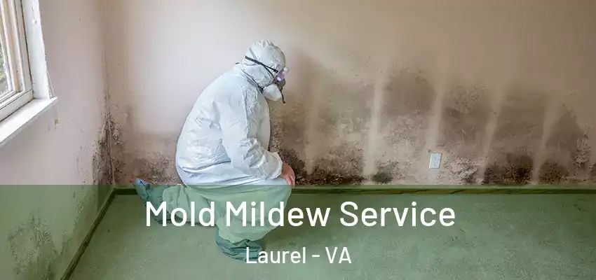 Mold Mildew Service Laurel - VA