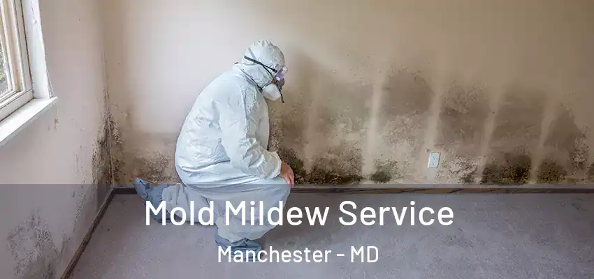  Mold Mildew Service Manchester - MD