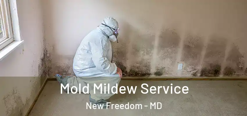 Mold Mildew Service New Freedom - MD
