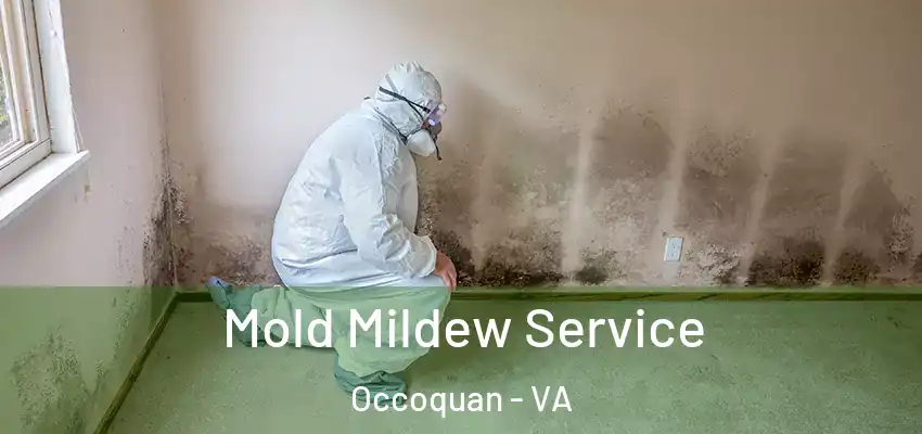  Mold Mildew Service Occoquan - VA