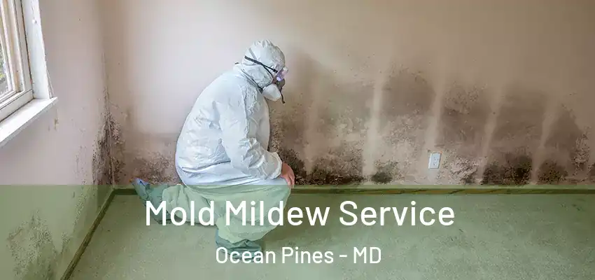  Mold Mildew Service Ocean Pines - MD