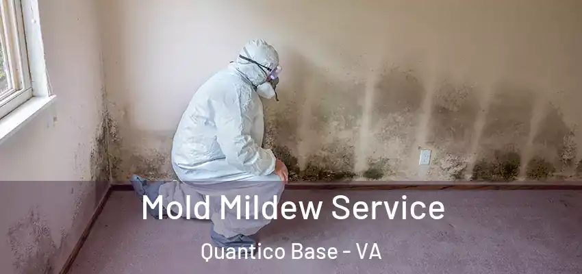 Mold Mildew Service Quantico Base - VA