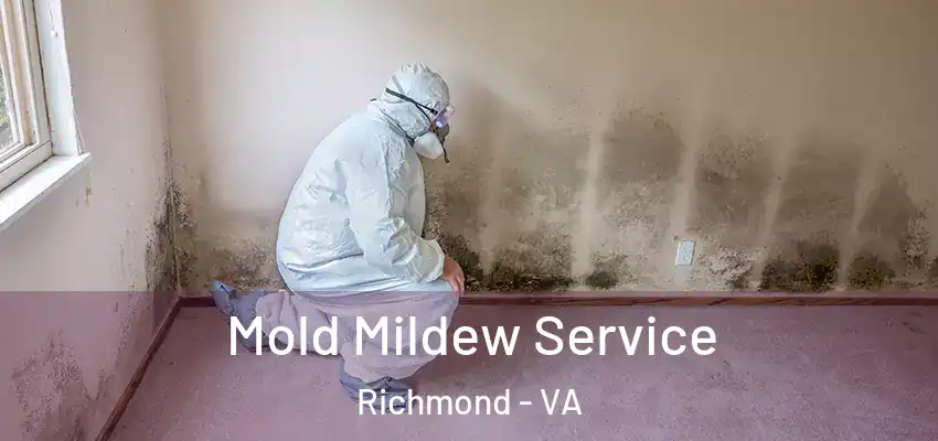 Mold Mildew Service Richmond - VA