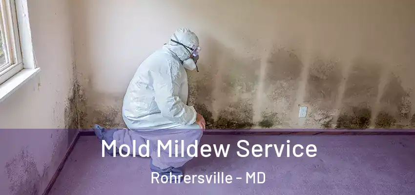 Mold Mildew Service Rohrersville - MD