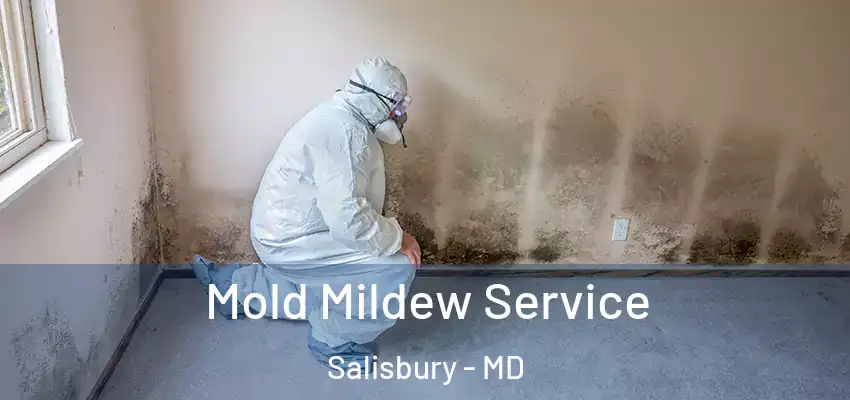 Mold Mildew Service Salisbury - MD